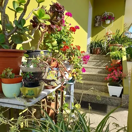 Corazon Do Val Da Lourina-area Vigo Apartment Pontevedra